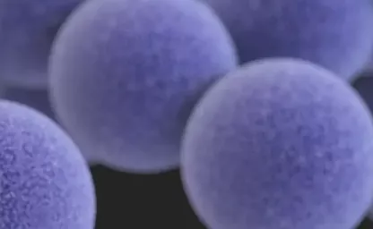 Methicillin-resistant Staphylococcus aureus (MRSA)